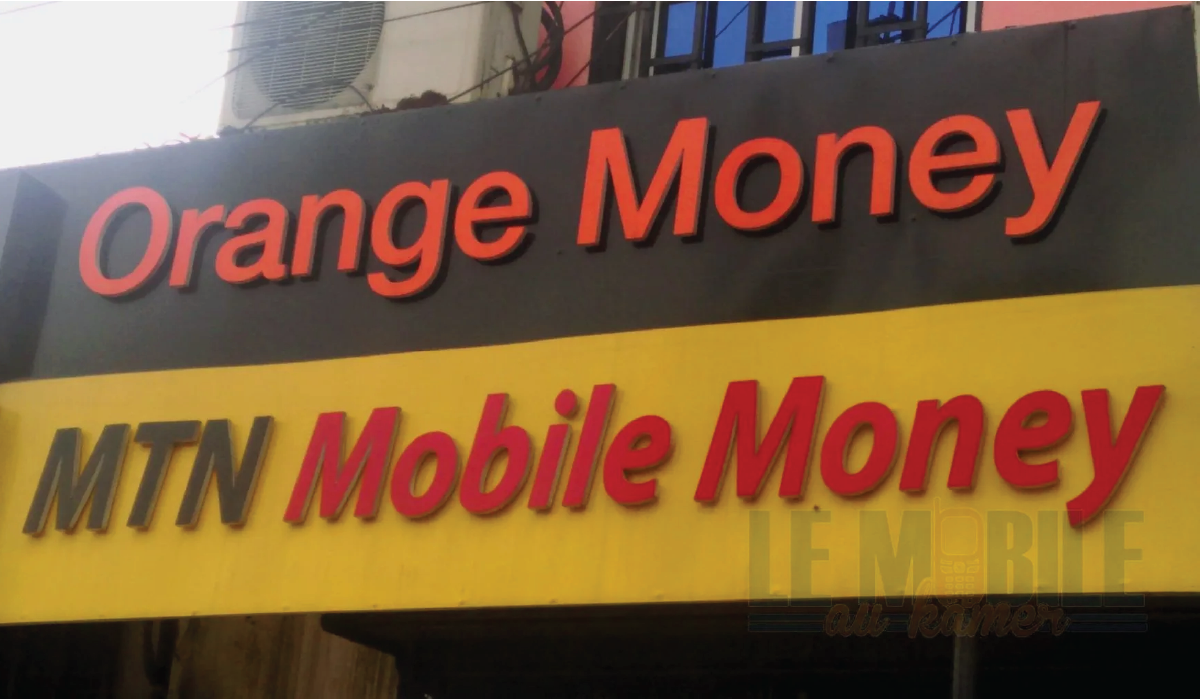 Do You Accept Orange Money? How Payment Method Limitations Cost Cameroon Businesses Annually
