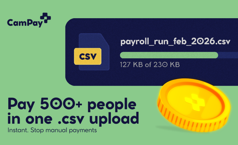 How Businesses are Saving 15+ Hours Monthly via Mass Payouts in Cameroon