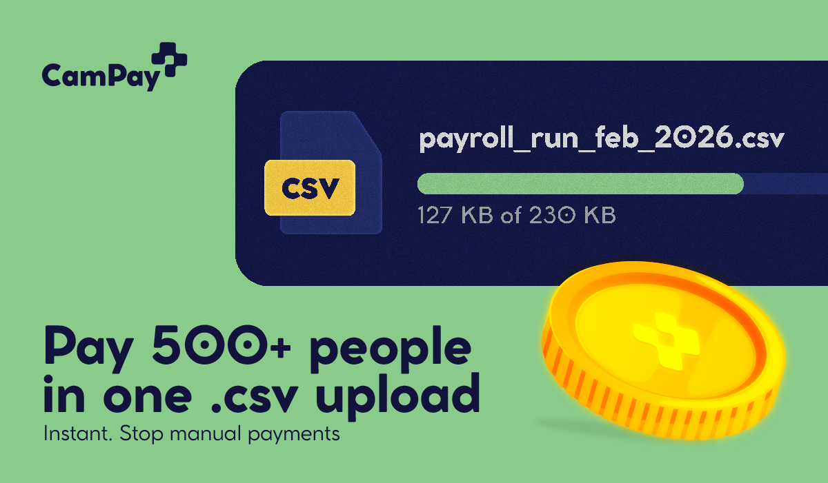 How Businesses are Saving 15+ Hours Monthly via Mass Payouts in Cameroon
